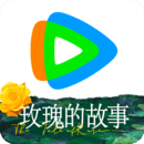 我的同桌初中作文500字女生怎么写